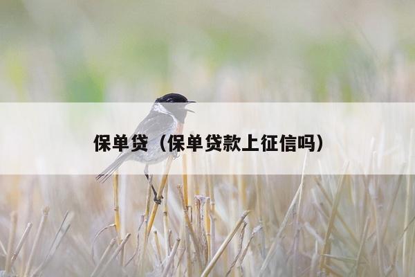 保单贷（保单贷款上征信吗）