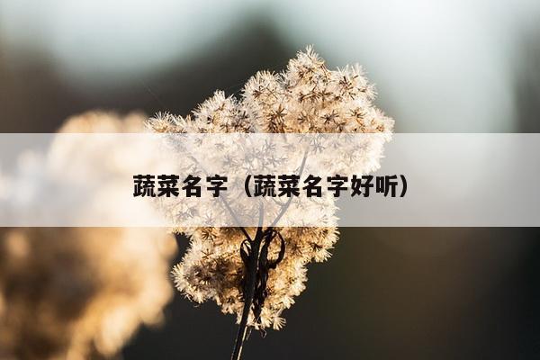 蔬菜名字（蔬菜名字好听）