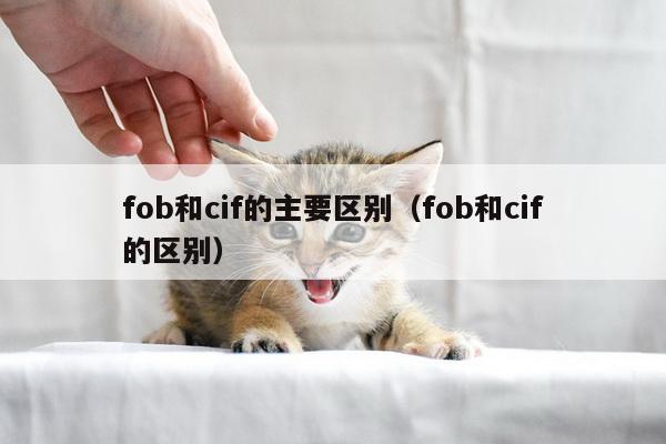 fob和cif的主要区别（fob和cif的区别）