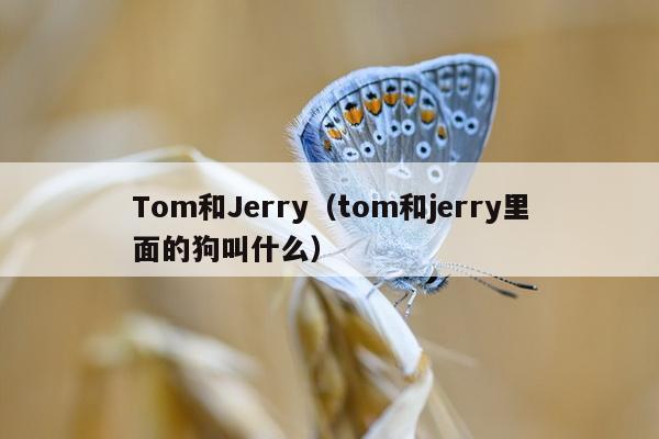 Tom和Jerry（tom和jerry里面的狗叫什么）