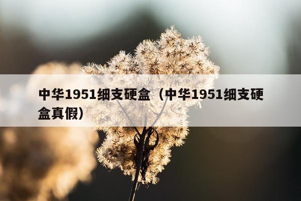 中华1951细支硬盒（中华1951细支硬盒真假）