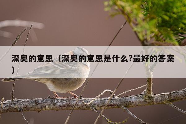 深奥的意思（深奥的意思是什么?最好的答案）