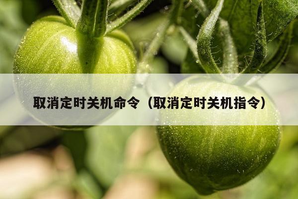 取消定时关机命令（取消定时关机指令）