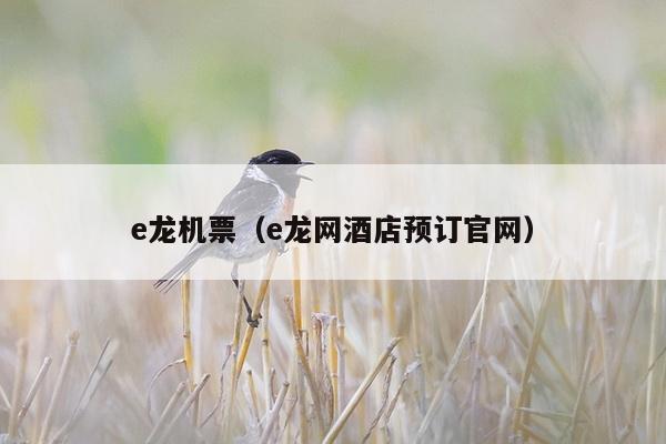 e龙机票（e龙网酒店预订官网）