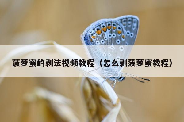 菠萝蜜的剥法视频教程（怎么剥菠萝蜜教程）