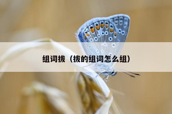 组词拔（拔的组词怎么组）