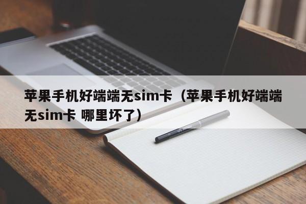 苹果手机好端端无sim卡（苹果手机好端端无sim卡 哪里坏了）