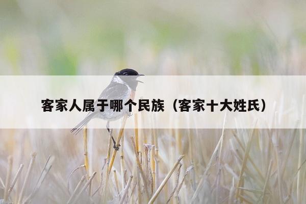 客家人属于哪个民族（客家十大姓氏）