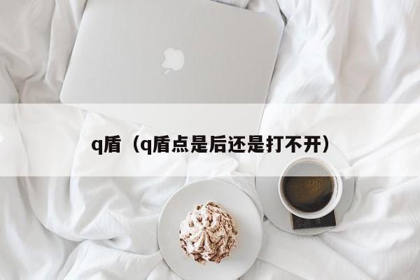 q盾（q盾点是后还是打不开）