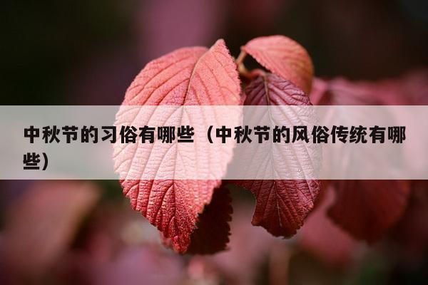 中秋节的习俗有哪些（中秋节的风俗传统有哪些）