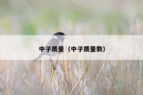 中子质量（中子质量数）