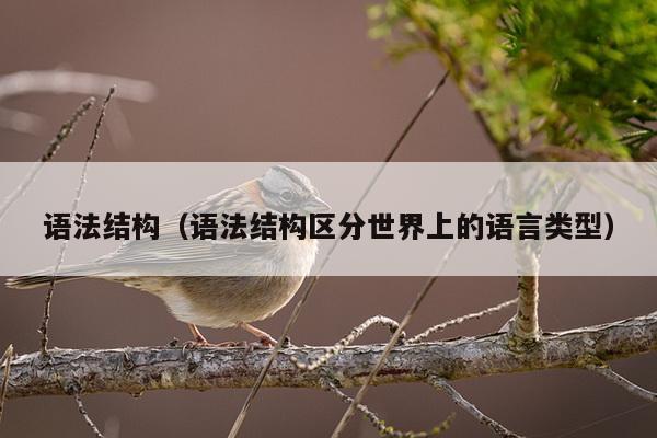 语法结构（语法结构区分世界上的语言类型）