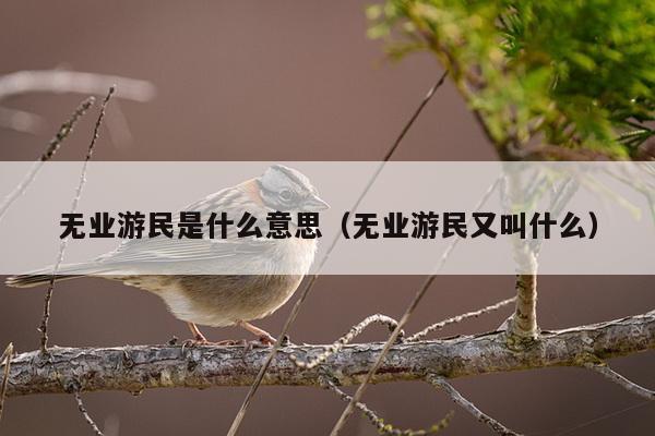 无业游民是什么意思（无业游民又叫什么）