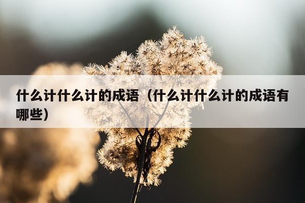 什么计什么计的成语（什么计什么计的成语有哪些）