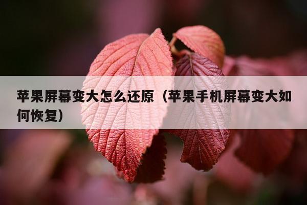 苹果屏幕变大怎么还原（苹果手机屏幕变大如何恢复）