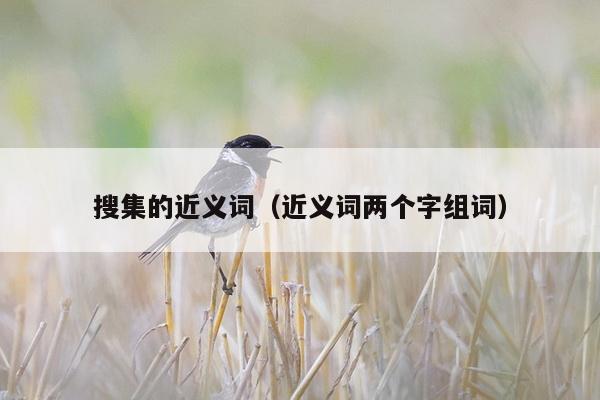 搜集的近义词（近义词两个字组词）