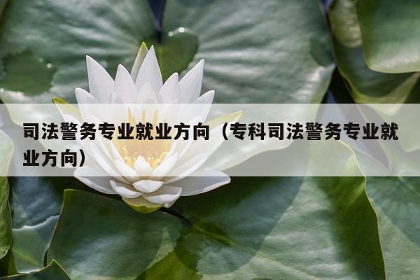 司法警务专业就业方向（专科司法警务专业就业方向）