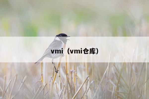 vmi（vmi仓库）