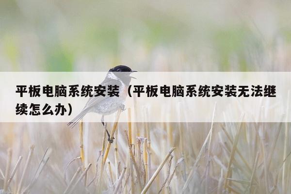 平板电脑系统安装（平板电脑系统安装无法继续怎么办）