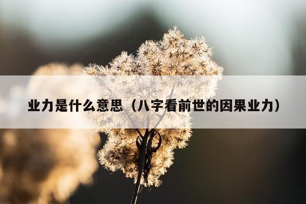 业力是什么意思（八字看前世的因果业力）