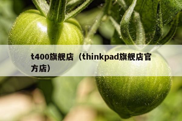 t400旗舰店（thinkpad旗舰店官方店）