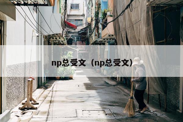 np总受文（np总受文）