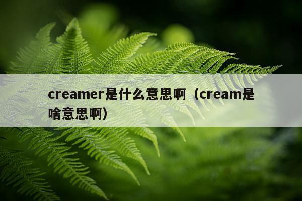 creamer是什么意思啊（cream是啥意思啊）