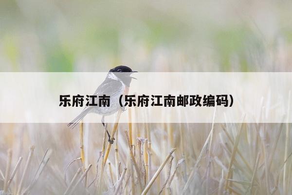 乐府江南（乐府江南邮政编码）