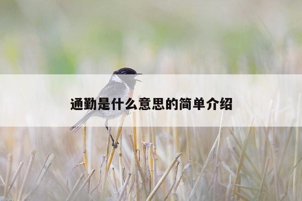 通勤是什么意思的简单介绍