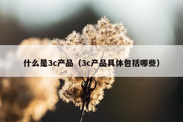 什么是3c产品（3c产品具体包括哪些）