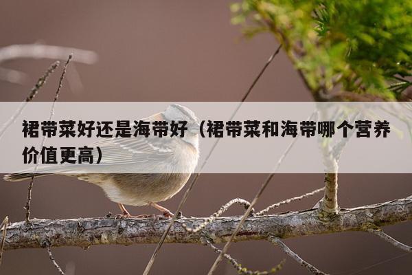 裙带菜好还是海带好（裙带菜和海带哪个营养价值更高）