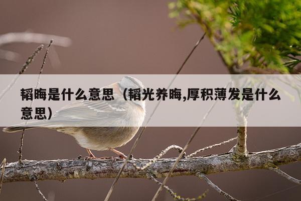 韬晦是什么意思（韬光养晦,厚积薄发是什么意思）