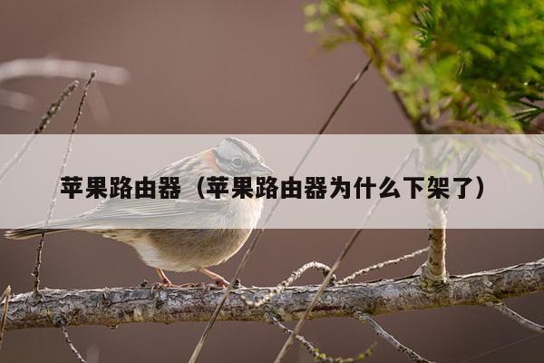 苹果路由器（苹果路由器为什么下架了）