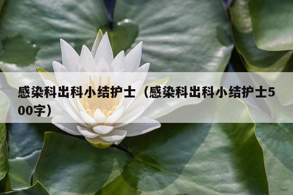 感染科出科小结护士（感染科出科小结护士500字）