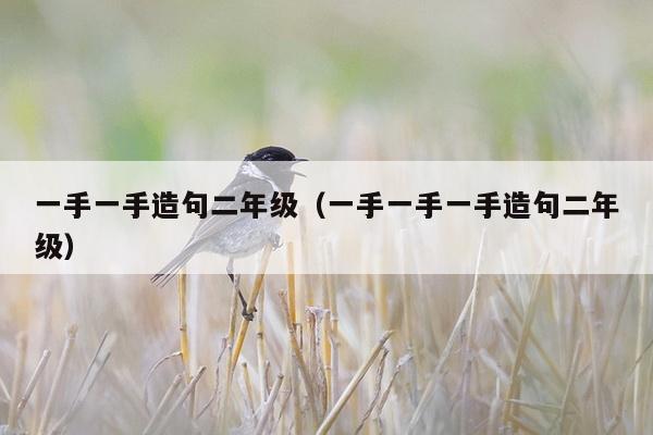 一手一手造句二年级（一手一手一手造句二年级）