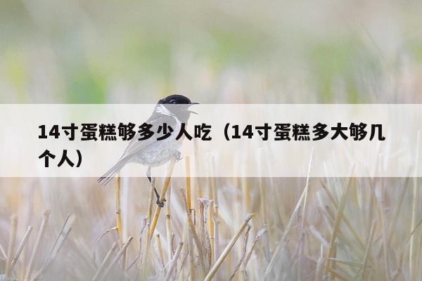 14寸蛋糕够多少人吃（14寸蛋糕多大够几个人）