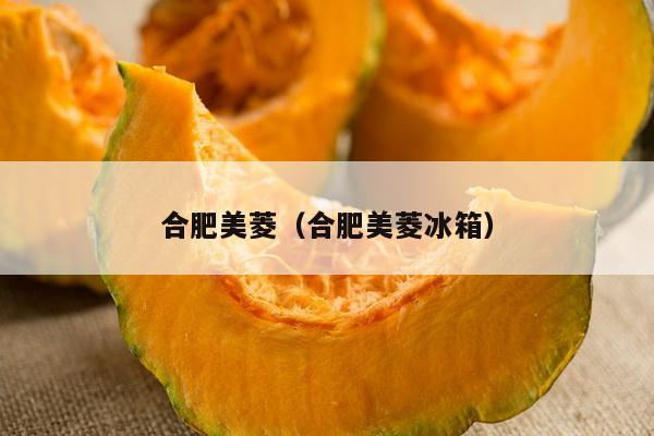 合肥美菱（合肥美菱冰箱）