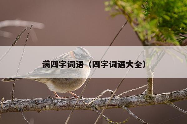 满四字词语（四字词语大全）