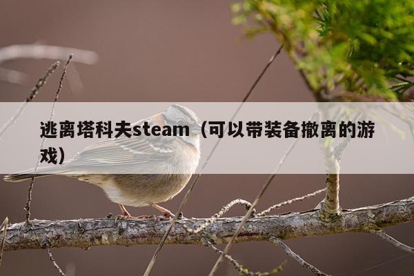 逃离塔科夫steam（可以带装备撤离的游戏）