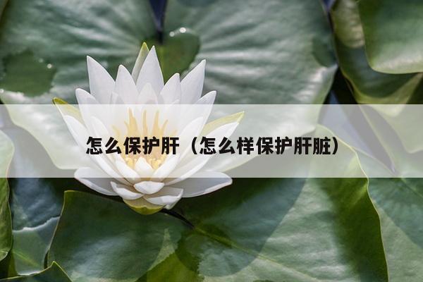 怎么保护肝（怎么样保护肝脏）