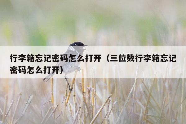 行李箱忘记密码怎么打开（三位数行李箱忘记密码怎么打开）