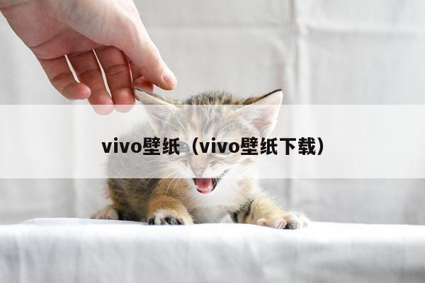 vivo壁纸（vivo壁纸下载）