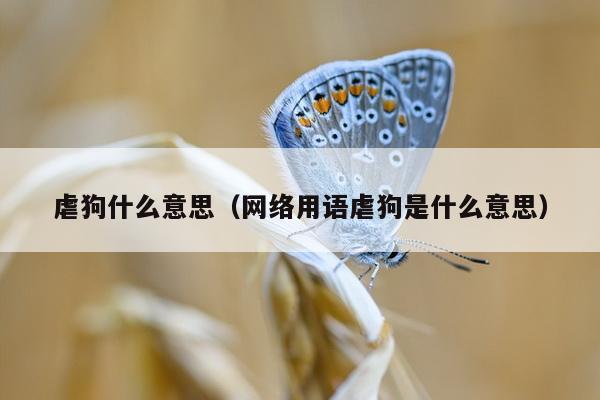 虐狗什么意思（网络用语虐狗是什么意思）