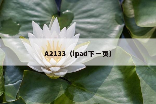 A2133（ipad下一页）