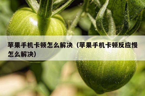 苹果手机卡顿怎么解决（苹果手机卡顿反应慢怎么解决）