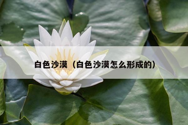 白色沙漠（白色沙漠怎么形成的）