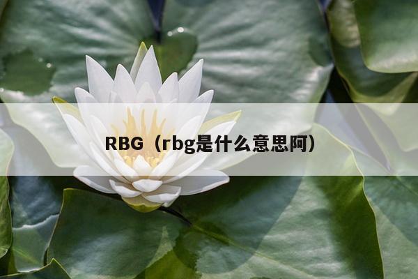 RBG（rbg是什么意思阿）
