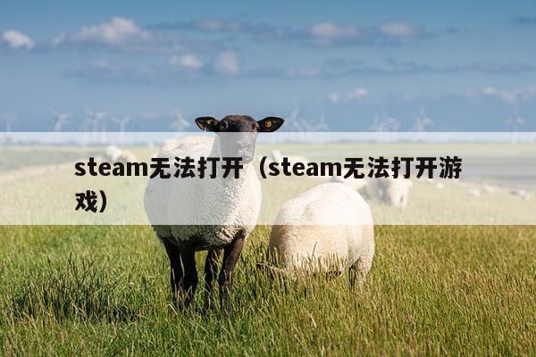 steam无法打开（steam无法打开游戏）