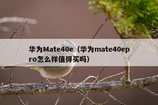 华为Mate40e（华为mate40epro怎么样值得买吗）