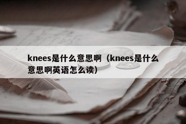 knees是什么意思啊（knees是什么意思啊英语怎么读）